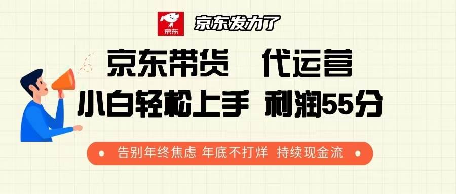 京东带货 代运营 利润55分 告别年终焦虑 年底不打烊 持续现金流-徐小晨博客