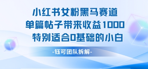 小红书女粉黑马赛道单篇帖子带来收益1k+，特别适合0基础的小白-徐小晨博客