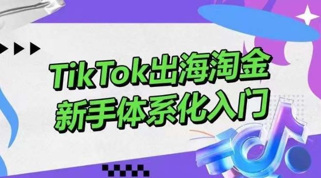 TikTok出海淘金，新手体系化入门，零基础快速入门，掌握短视频、直播带货等引流到变现的知识-徐小晨博客