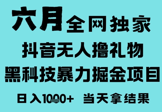 25年6月高爆抖音无人直播最新撸音浪掘金项目，门槛低小白可做，无脑日入1k，可矩阵放大【揭秘】-徐小晨博客