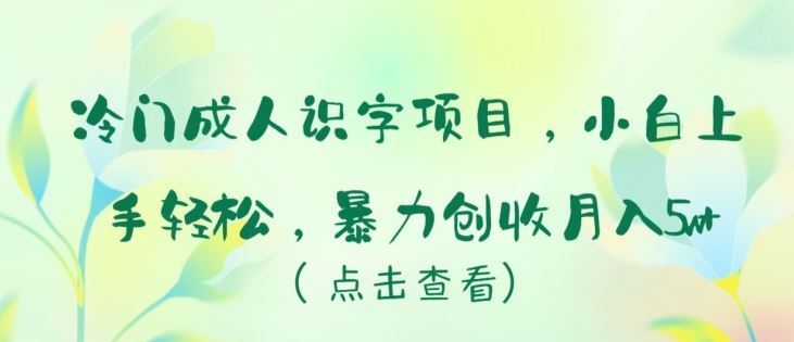 冷门成人识字项目，小白上手轻松，暴力创收月入5w+【揭秘】-徐小晨博客
