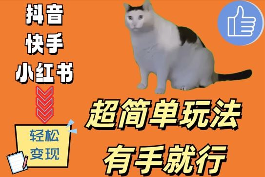 超简单玩法，有手就行，靠猫咪视频日入500+【揭秘】-徐小晨博客