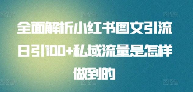 全面解析小红书图文引流日引100+私域流量是怎样做到的【揭秘】-徐小晨博客