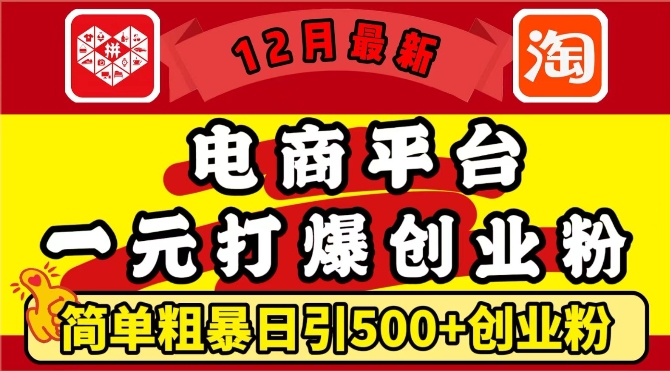 12月最新：电商平台1元打爆创业粉，简单粗暴日引500+精准创业粉，轻松月入过W【揭秘】-徐小晨博客