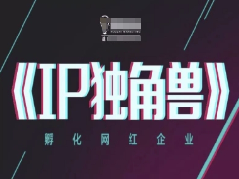 IP独角兽，孵化网红企业，ip教程-徐小晨博客