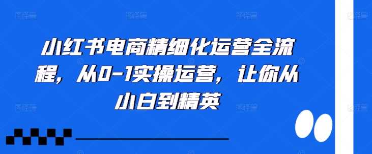 小红书电商精细化运营全流程，从0-1实操运营，让你从小白到精英-徐小晨博客