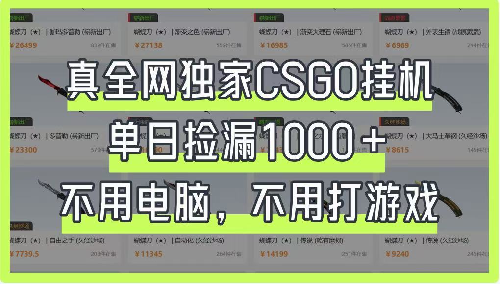 真全网独家CSGO挂机，单日捡漏1000+，不用电脑，不用养号-徐小晨博客