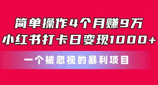 简单操作4个月赚9w，小红书打卡日变现1k，一个被忽视的暴力项目【揭秘】-徐小晨博客