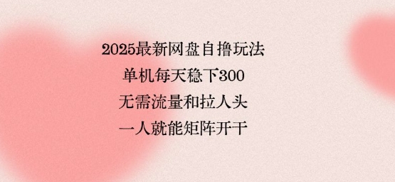 2025最新网盘自撸玩法，单机每天稳下3张，无需流量和拉人头，一个人就可轻松矩阵，全网独一份【揭秘】-徐小晨博客