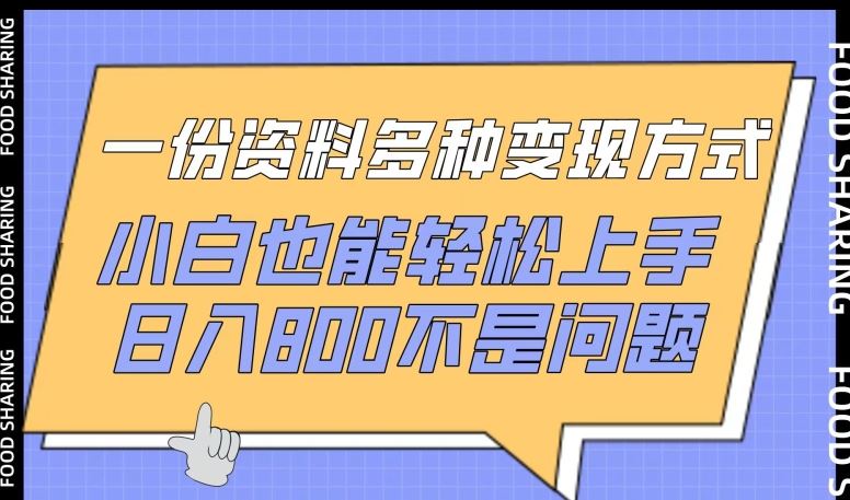 一份资料多种变现方式，小白也能轻松上手，日入800不是问题【揭秘】-徐小晨博客