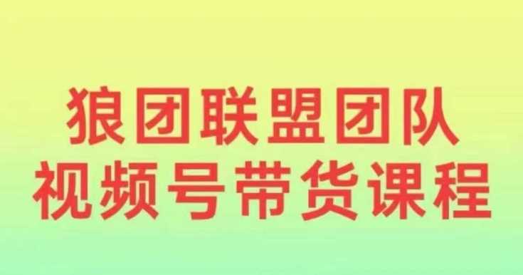 狼团联盟2024视频号带货，0基础小白快速入局视频号-徐小晨博客