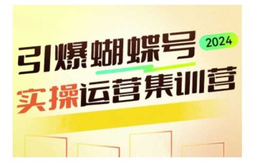 引爆蝴蝶号实操运营，助力你深度掌握蝴蝶号运营，实现高效实操，开启流量变现之路-徐小晨博客