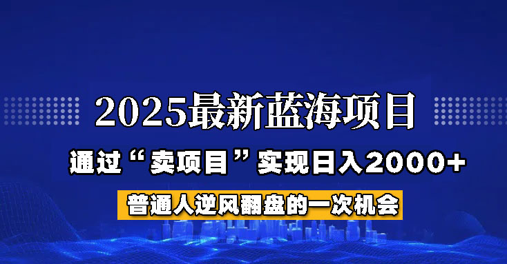 2025年蓝海项目，如何通过“网创项目”日入2000+-徐小晨博客