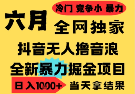25年6月高爆抖音无人直播最新撸音浪掘金项目，小白可做，无脑日入1k+，门槛低可批量矩阵【揭秘】-徐小晨博客