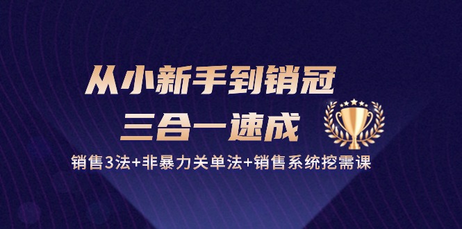 从小新手到销冠三合一速成：销售3法+非暴力关单法+销售系统挖需课 (27节)-徐小晨博客
