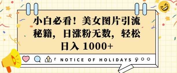 小白必看，美女图片引流秘籍，日涨粉无数，轻松日入几张【揭秘】-徐小晨博客