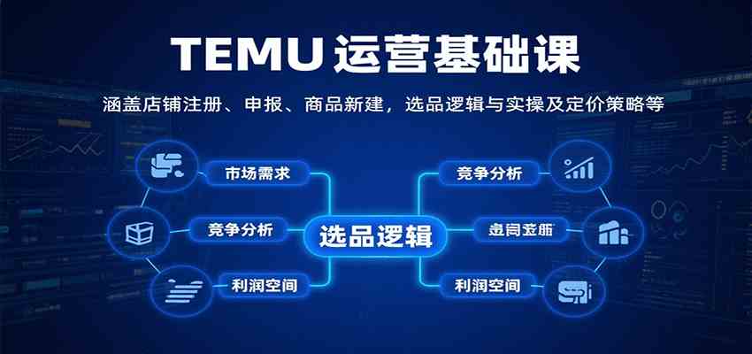 TEMU运营基础课：涵盖店铺注册、申报、商品新建，选品逻辑与实操及定价策略等-徐小晨博客