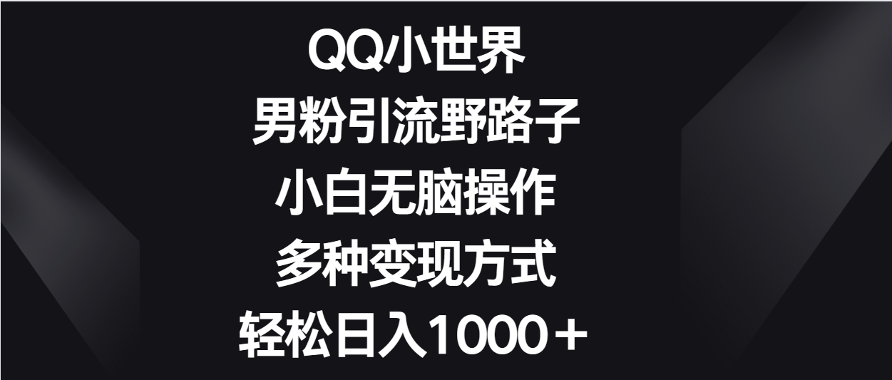 QQ小世界男粉引流野路子，小白无脑操作，多种变现方式轻松日入1000＋-徐小晨博客