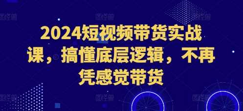 2024短视频带货实战课，搞懂底层逻辑，不再凭感觉带货-徐小晨博客