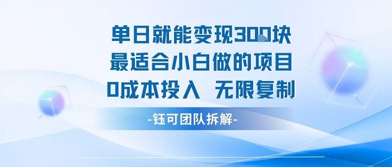 单日就能变现3张最适合小白做的项目0成本投入 无限复制-徐小晨博客