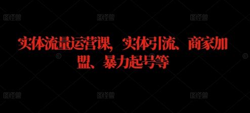 实体流量运营课，实体引流、商家加盟、暴力起号等-徐小晨博客