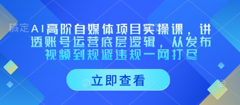 AI高阶自媒体项目实操课，讲透账号运营底层逻辑，从发布视频到规避违规一网打尽-徐小晨博客