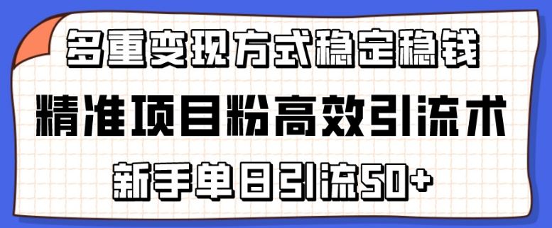 精准项目粉高效引流术，新手单日引流50+，多重变现方式稳定赚钱【揭秘】-徐小晨博客