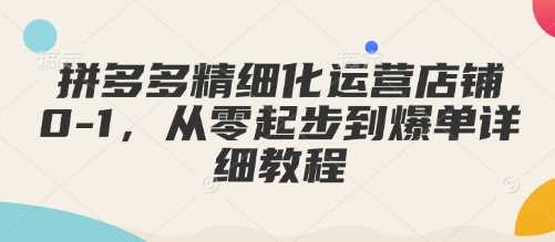 拼多多精细化运营店铺0-1，从零起步到爆单详细教程-徐小晨博客