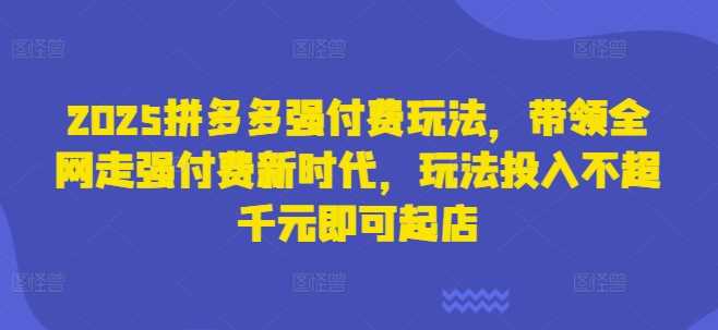 2025拼多多强付费玩法，带领全网走强付费新时代，玩法投入不超千元即可起店-徐小晨博客