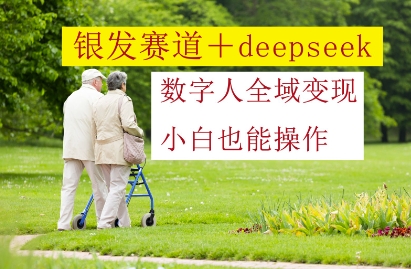 银发赛道+deepseek数字人全域变现，小白也能操作-徐小晨博客