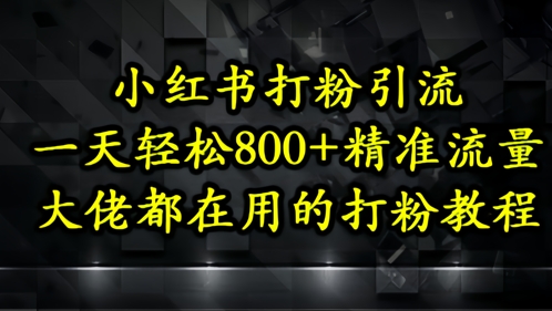小红书打粉引流，一天轻松500+精准流量，大佬都在用的打粉教程-徐小晨博客