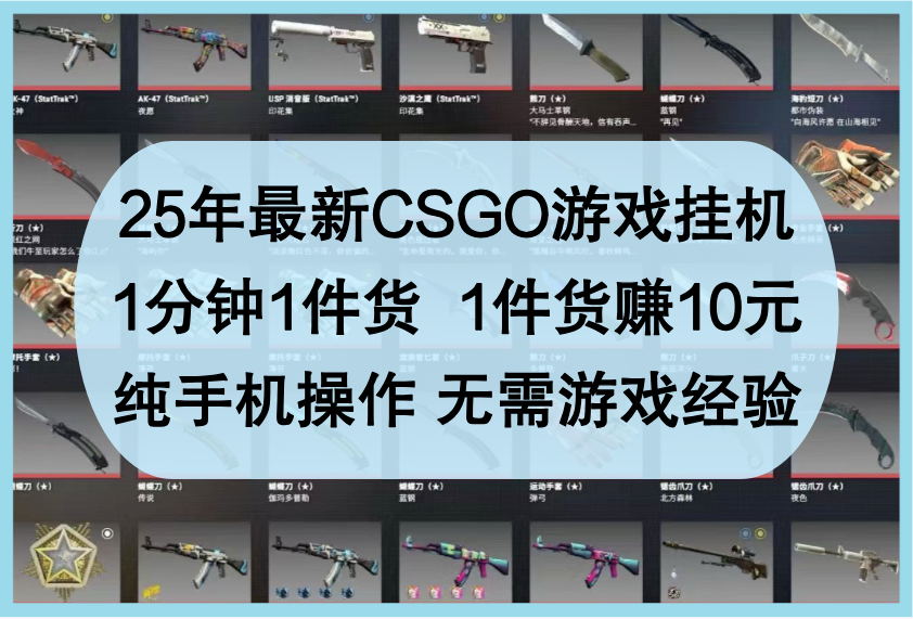 25年最新CSGO游戏挂机，1分钟1件货，1件货赚10元，纯手机操作，无需游戏经验-徐小晨博客