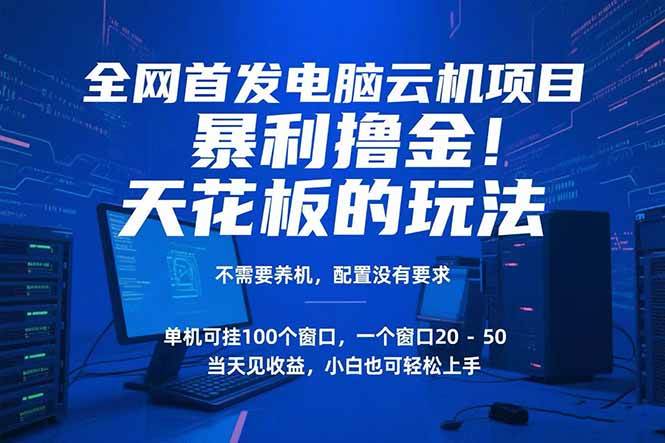 电脑云机项目 暴力撸金玩法，不需要养机 配置没有要求 单机100个窗口一…-徐小晨博客