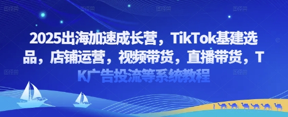2025出海加速成长营，TikTok基建选品，店铺运营，视频带货，直播带货，TK广告投流等系统教程-徐小晨博客