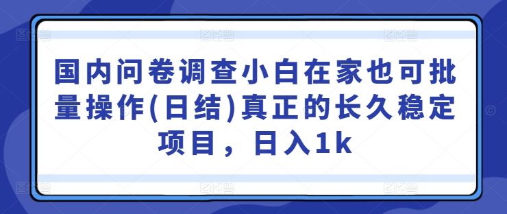 国内问卷调查小白在家也可批量操作(日结)真正的长久稳定项目，日入1k【揭秘】-徐小晨博客