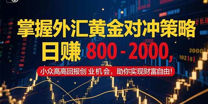 掌握外汇黄金对冲策略，日赚 800 – 2000，小众高回报创业机会，助你实…-徐小晨博客