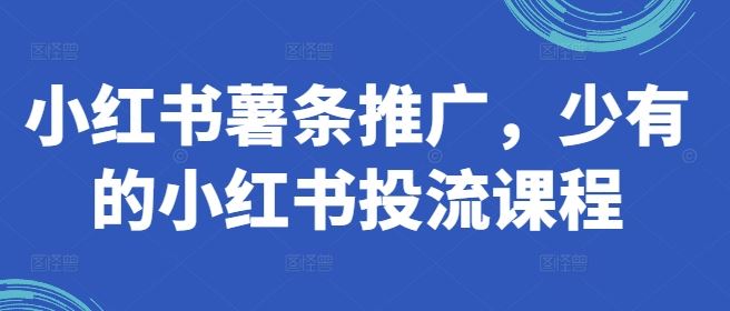 小红书薯条推广，少有的小红书投流课程-徐小晨博客