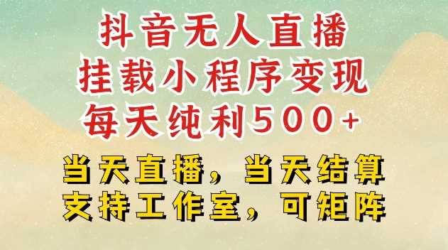 抖音无人直播挂载小程序变现每天纯利500+当天直播，当天结算支持工作室，可矩阵【揭秘】-徐小晨博客