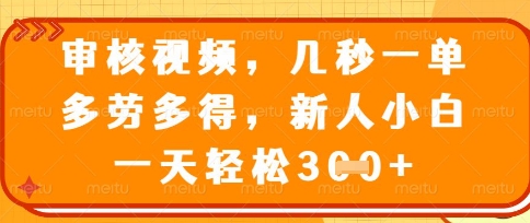 最新审核视频，几秒一单，多劳多得，新人小白一天轻松3张【揭秘】-徐小晨博客