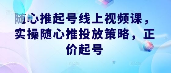 随心推起号线上视频课，实操随心推投放策略，正价起号-徐小晨博客