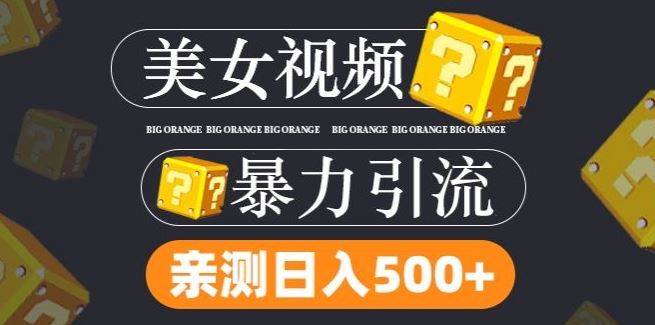 搬运tk美女视频全网分发，日引s粉300+，轻松变现，不限流量不封号【揭秘】-徐小晨博客