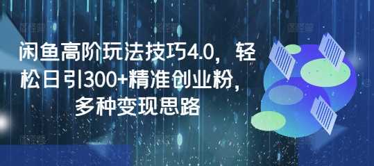 闲鱼高阶玩法技巧4.0，轻松日引300+精准创业粉，多种变现思路-徐小晨博客
