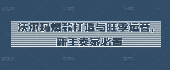 沃尔玛爆款打造与旺季运营，新手卖家必看-徐小晨博客