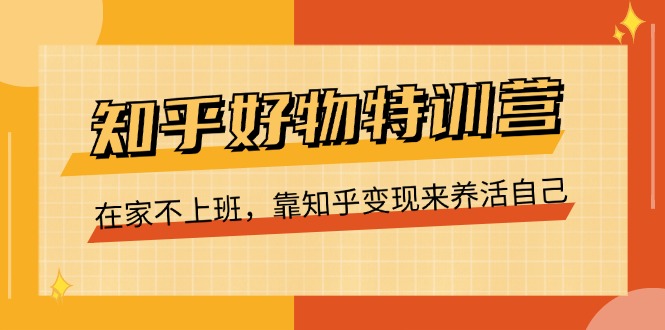 知乎好物特训营，在家不上班，靠知乎变现来养活自己（16节）-徐小晨博客