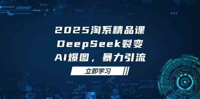 2025无界精品课，DeepSeek裂变，AI爆图，暴力引流助力淘系运营-徐小晨博客