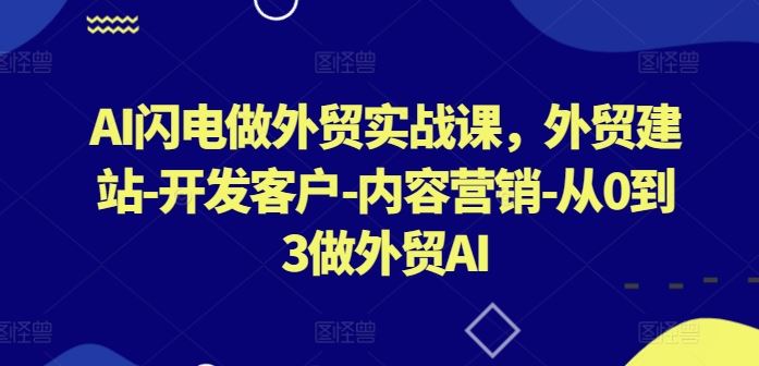 AI闪电做外贸实战课，外贸建站-开发客户-内容营销-从0到3做外贸AI-徐小晨博客