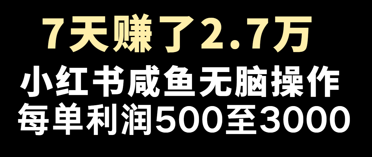 七天赚了2.7万！每单利润最少500+，轻松月入5万+小白有手就行-徐小晨博客
