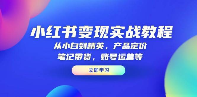 小红书变现实战教程：从小白到精英，产品定价，笔记带货，账号运营等-徐小晨博客