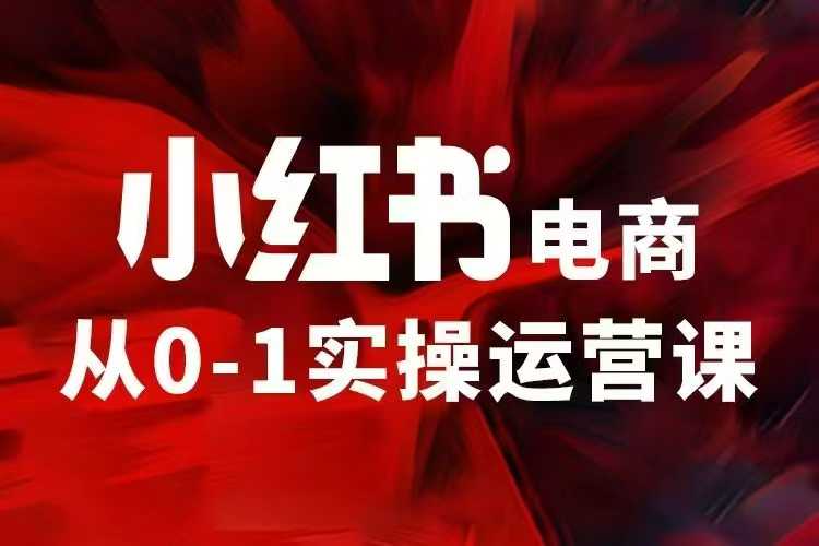 小红书电商运营，97节小红书vip内部课，带你实现小红书赚钱-徐小晨博客