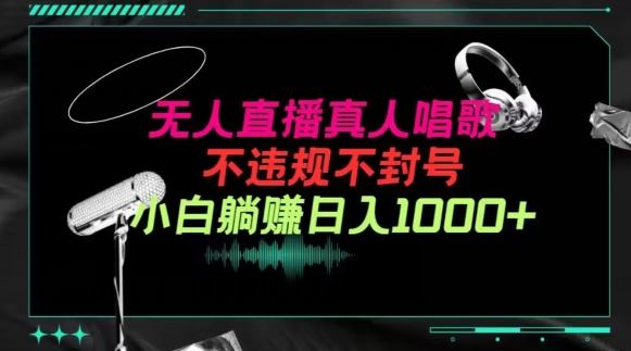 抖音24小时无人直播音乐，不违规，不封号纯撸音浪，小白实操当天日入1000+【揭秘】-徐小晨博客